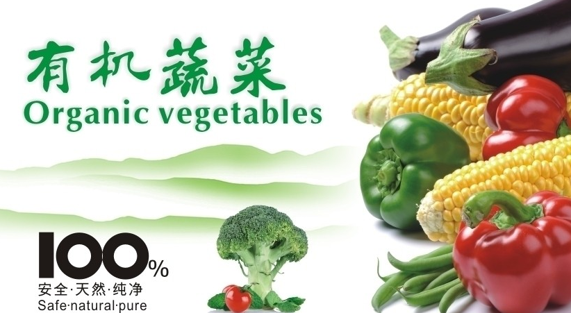 连锁会员管理系统